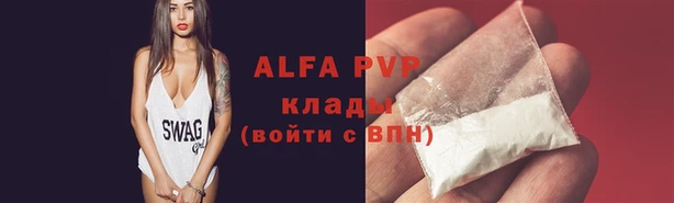 гашик Наволоки