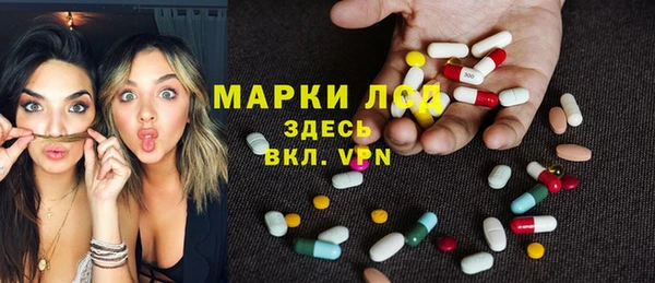 индика Михайлов