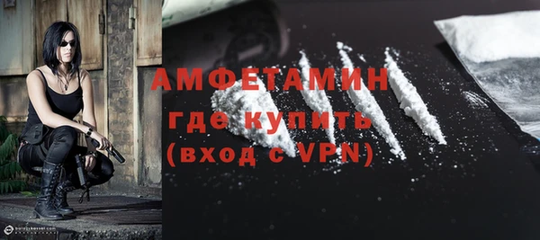 индика Михайлов