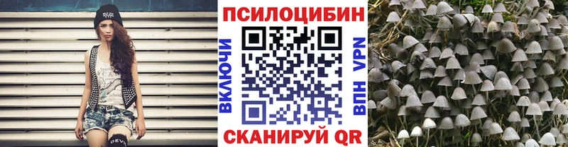 где купить наркоту  Новоалександровск  Галлюциногенные грибы ЛСД 