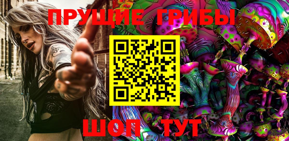 Псилоцибиновые грибы MAGIC MUSHROOMS  Вход с VPN  Новоалександровск 